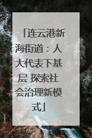 连云港新海街道：人大代表下基层 探索社会治理新模式