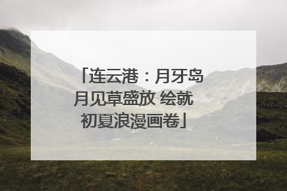 连云港：月牙岛月见草盛放 绘就初夏浪漫画卷