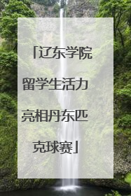 辽东学院留学生活力亮相丹东匹克球赛