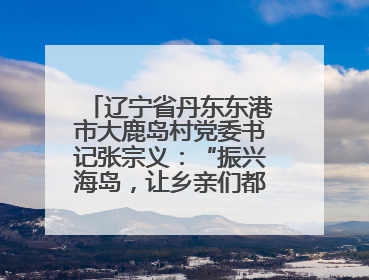 辽宁省丹东东港市大鹿岛村党委书记张宗义：“振兴海岛，让乡亲们都过上好日子”