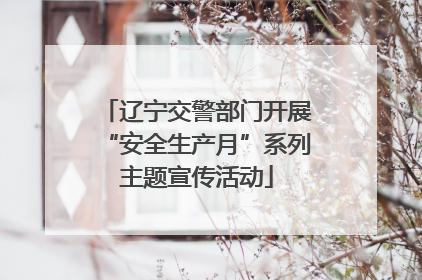 辽宁交警部门开展“安全生产月”系列主题宣传活动