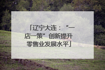 辽宁大连：“一店一策”创新提升零售业发展水平