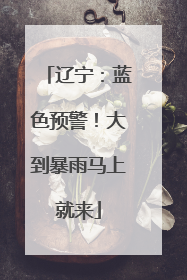 辽宁：蓝色预警！大到暴雨马上就来
