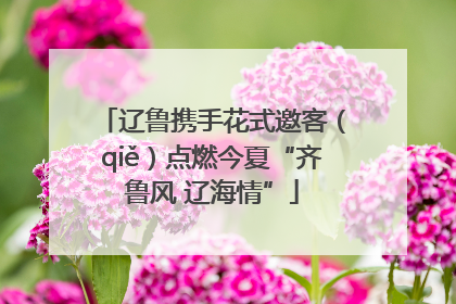 辽鲁携手花式邀客（qiě）点燃今夏“齐鲁风 辽海情”