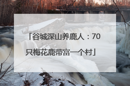 谷城深山养鹿人：70只梅花鹿带富一个村