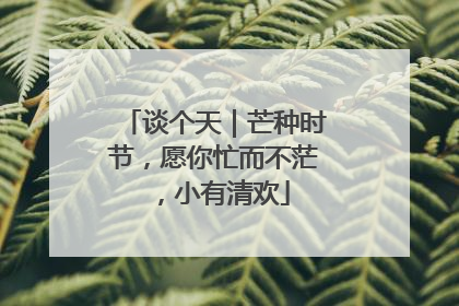 谈个天｜芒种时节，愿你忙而不茫，小有清欢