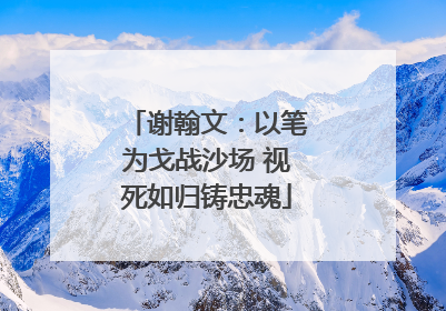 谢翰文：以笔为戈战沙场 视死如归铸忠魂
