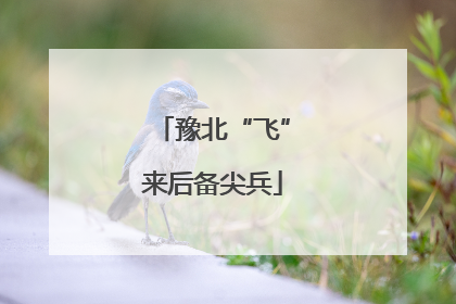 豫北“飞”来后备尖兵