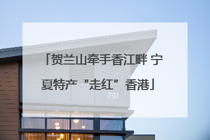 贺兰山牵手香江畔 宁夏特产“走红”香港