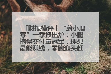 财报横评丨“蔚小理零”一季报出炉：小鹏摘得交付量冠军，理想最能赚钱，零跑迎头赶上，蔚来还在调整