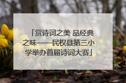 赏诗词之美 品经典之味——民权县第三小学举办首届诗词大赛