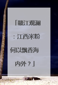 赣江观澜：江西米粉何以飘香海内外？