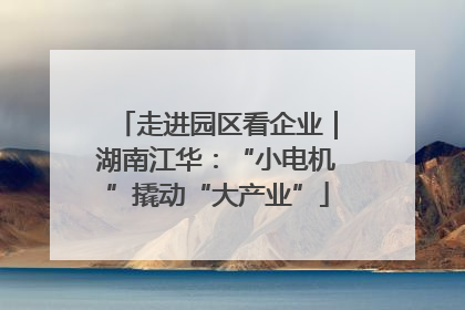 走进园区看企业｜湖南江华：“小电机”撬动“大产业”