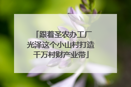 跟着圣农办工厂 光泽这个小山村打造千万村财产业带