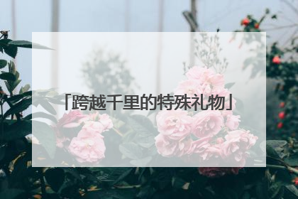 跨越千里的特殊礼物