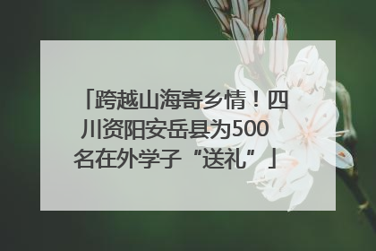 跨越山海寄乡情！四川资阳安岳县为500名在外学子“送礼”