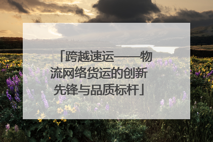跨越速运——物流网络货运的创新先锋与品质标杆
