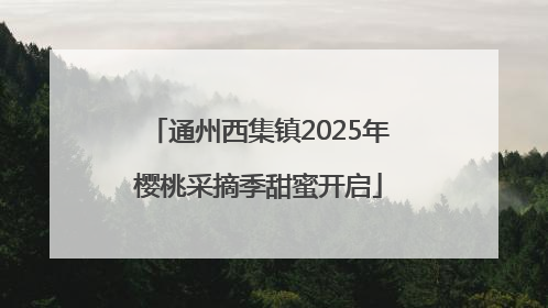 通州西集镇2025年樱桃采摘季甜蜜开启