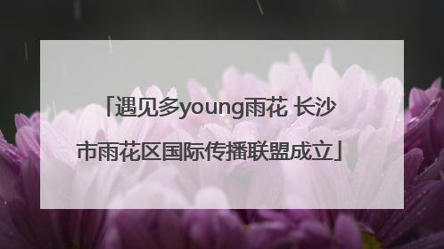 遇见多young雨花 长沙市雨花区国际传播联盟成立