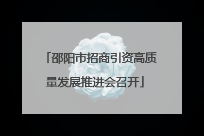 邵阳市招商引资高质量发展推进会召开