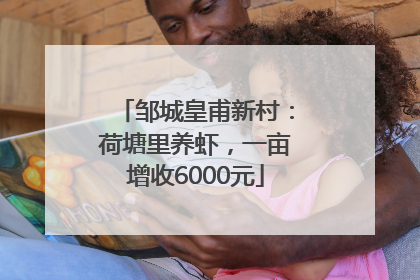 邹城皇甫新村：荷塘里养虾，一亩增收6000元