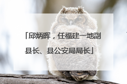 邱炳晖，任福建一地副县长、县公安局局长