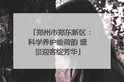 郑州市郑东新区：科学养护绘荷韵 盛景迎客绽芳华
