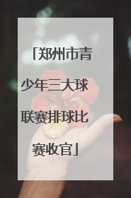 郑州市青少年三大球联赛排球比赛收官