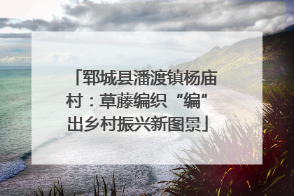 郓城县潘渡镇杨庙村：草藤编织“编”出乡村振兴新图景