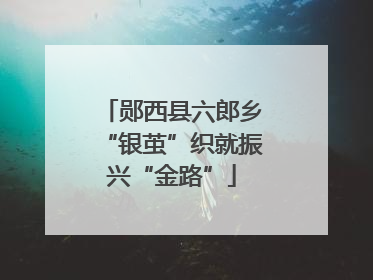 郧西县六郎乡“银茧”织就振兴“金路”
