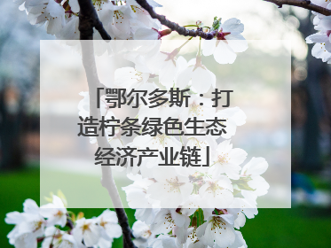 鄂尔多斯：打造柠条绿色生态经济产业链