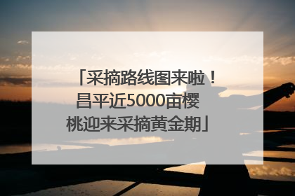 采摘路线图来啦！昌平近5000亩樱桃迎来采摘黄金期