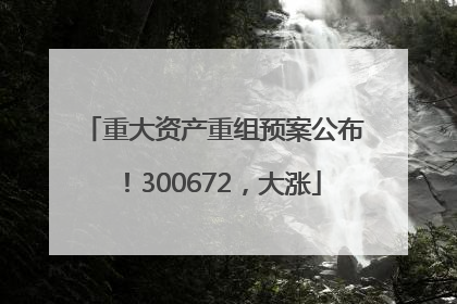 重大资产重组预案公布！300672，大涨