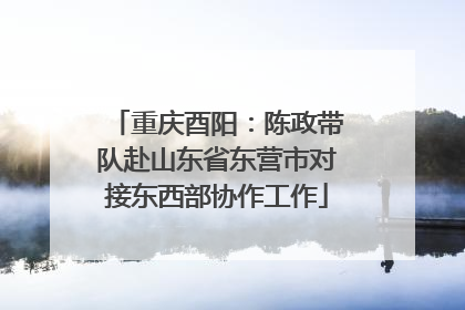 重庆酉阳：陈政带队赴山东省东营市对接东西部协作工作