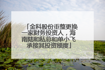 金科股份重整更换一家财务投资人，海南陆和私募和单小飞承接其投资额度