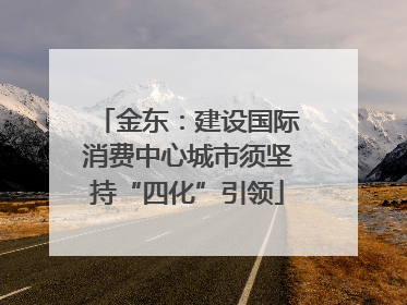 金东：建设国际消费中心城市须坚持“四化”引领