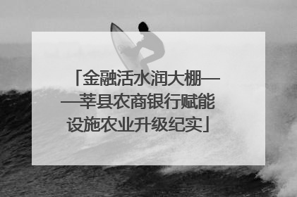 金融活水润大棚——莘县农商银行赋能设施农业升级纪实