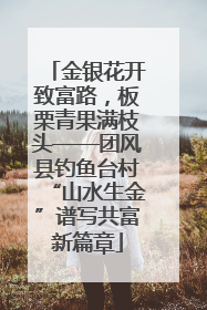 金银花开致富路，板栗青果满枝头——团风县钓鱼台村“山水生金”谱写共富新篇章