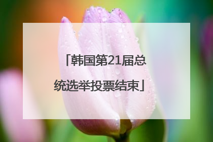 韩国第21届总统选举投票结束