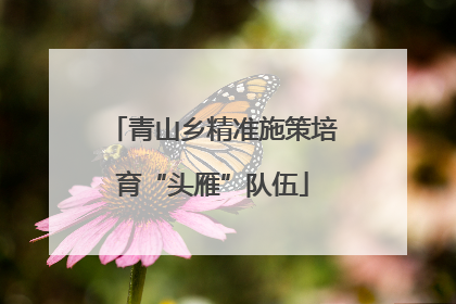 青山乡精准施策培育“头雁”队伍