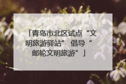 青岛市北区试点“文明旅游驿站” 倡导“邮轮文明旅游”