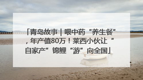 青岛故事｜喂中药“养生餐”，年产值80万！莱西小伙让“自家产”锦鲤“游”向全国