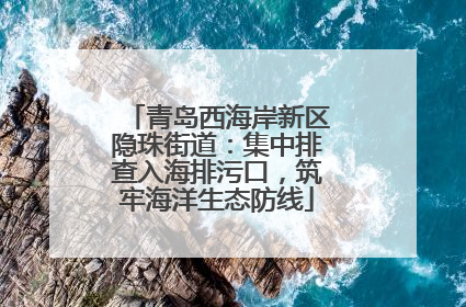 青岛西海岸新区隐珠街道：集中排查入海排污口，筑牢海洋生态防线