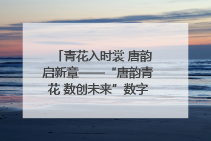 青花入时裳 唐韵启新章——“唐韵青花 数创未来”数字文创设计大赛启幕