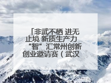 非武不栖 进无止境 新质生产力“智”汇常州创新创业邀请赛（武汉站）圆满举办