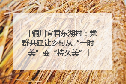 铜川宜君东湖村：党群共建让乡村从“一时美”变“持久美”
