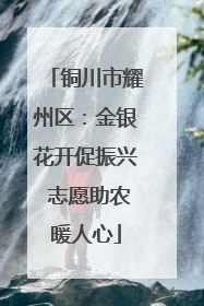 铜川市耀州区：金银花开促振兴 志愿助农暖人心