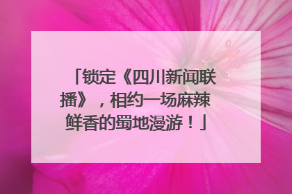 锁定《四川新闻联播》，相约一场麻辣鲜香的蜀地漫游！