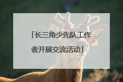 长三角少先队工作者开展交流活动