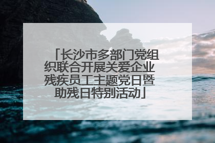 长沙市多部门党组织联合开展关爱企业残疾员工主题党日暨助残日特别活动
